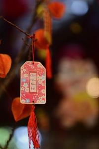  Sân chơi bốn mùa 